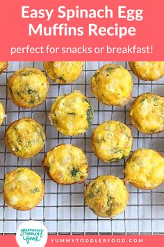 an easy spinach egg muffins recipe is perfect for snacks or breakfast on the go