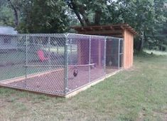 a dog kennel in the middle of a yard