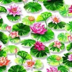 water lilies and green leaves on a white background