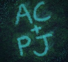 the word ac and pt is written in white spray paint on a dark green background