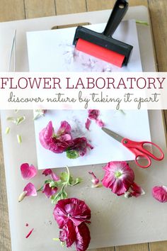 flower lab laboratory with scissors, paper and flowers on the cutting board next to it