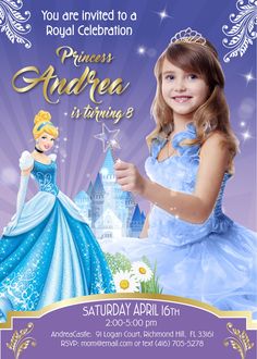 the princess aurora birthday party is going on