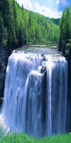 a large waterfall in the middle of a forest filled with lush green grass and trees