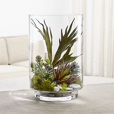 a glass vase filled with plants on top of a table