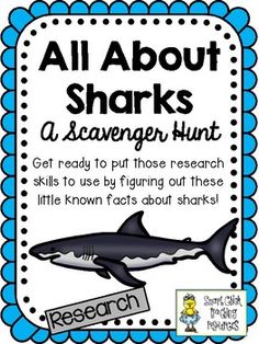 an all about sharks poster with text