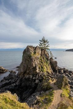 a rocky outcropping with trees on top of it near the water's edge