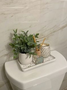 a white toilet sitting next to a plant on top of it