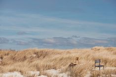 two empty chairs sitting in the middle of an open field with tall grass and blue sky