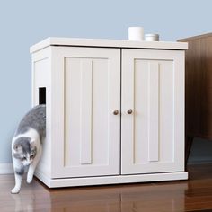 a gray and white cat is hiding in a cabinet with its front paws on the floor