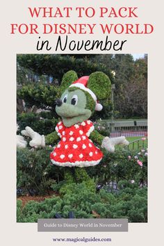 the front cover of what to pack for disney world in november, including an image of minnie