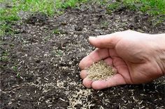 someone is holding out their hand over the dirt that has been mulched up