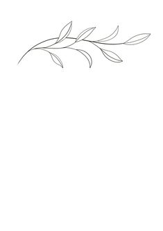 a black and white drawing of a branch with leaves on it's end, against a white background