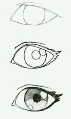 three different types of eyes are shown in this drawing