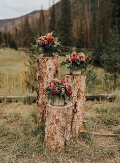 three wooden stumps with flowers on them in the grass near some trees and mountains