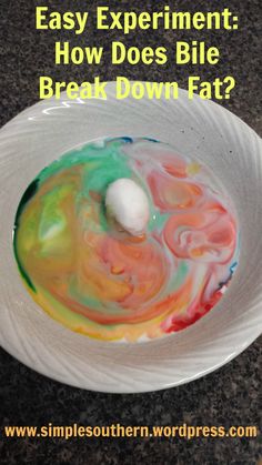 a white bowl filled with colorful liquid on top of a table