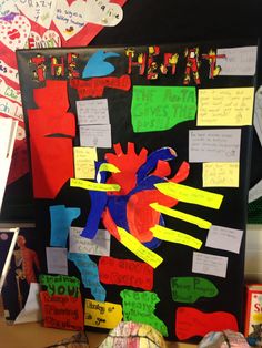 a bulletin board that has been decorated with different colors and shapes for the human body