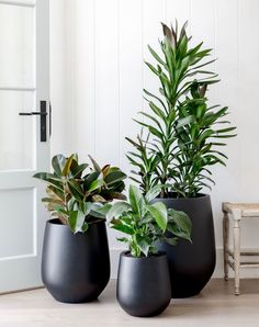 three black planters sitting on top of a wooden floor next to a white door