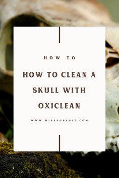 a skull with the words how to clean a skull with oxiclean on it