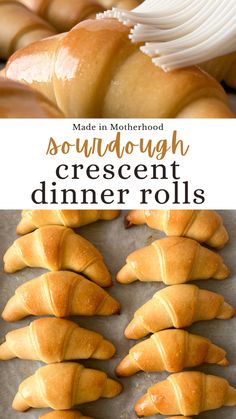 The top image is a sourdough crescent dinner roll being brushed with butter, and the bottom image is sourdough crescent dinner rolls lined up on a parchment lined baking sheet. Fall Sourdough, Easy Homemade Rolls, Crescent Dinner Rolls, Sourdough Dinner, Crescent Rolls Recipe, Sourdough Dinner Rolls, Homemade Crescent Rolls, Sourdough Rolls