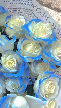 blue and white roses are laying on top of an open book with the pages folded down