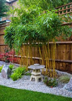 a japanese garden with bamboo trees and rocks