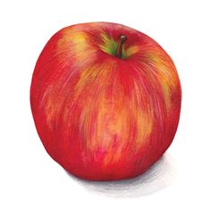 an apple is shown in color on a white background, with the top half painted red