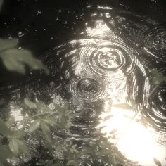 the sun is shining through some water with circles and leaves around it, as seen from below