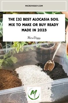 the best alocasia soil mix to make or buy ready made in 202