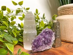 a couple of small rocks sitting on top of a wooden table next to some plants