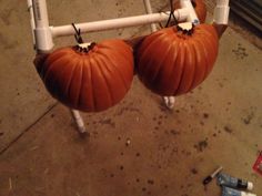 two orange pumpkins sitting on top of white pipes