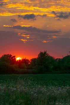 the sun is setting over some trees and grass