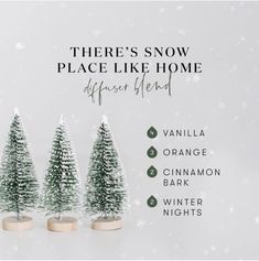 Snow Day Diffuser Blends Young Living, Winter Nights Diffuser Blend, Christmas Diffuser Blends Young Living, Young Living Diffuser Recipes, Young Living Oils Recipes, Scent Blends, Living Oils Recipes