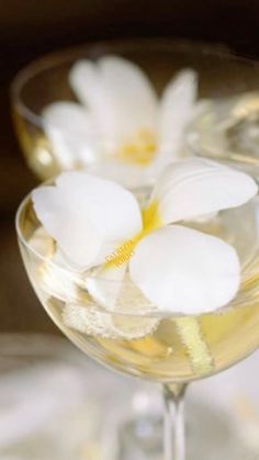 two glasses filled with white wine and flowers