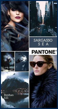 the poster for sargaso sea and pantonee