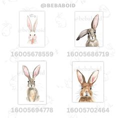 four pictures of rabbits with different faces and ears, each showing the same rabbit's head