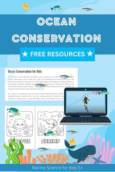 the ocean conservation flyer is shown with an image of a child on a laptop computer