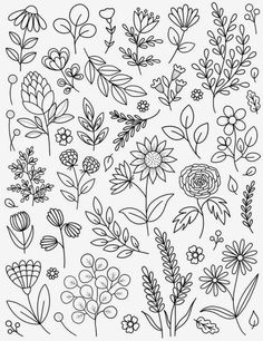 flowers and leaves are drawn in black ink