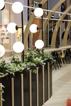 three planters with plants in them are on display at an indoor mall or shopping center