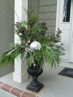 a potted plant sitting on the front porch