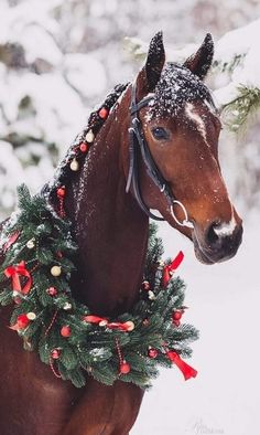 a horse wearing a christmas wreath in the snow