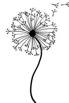 a dandelion drawing with black and white inks on the bottom half of it