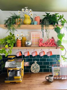 some plants are sitting on the shelves in this kitchen, and there is also a coffee maker