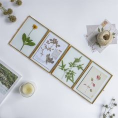 four framed pictures on a wall next to a candle and some flowers