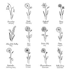 the twelve flowers that are blooming in different stages and colors, with their names on them