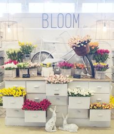 a bunch of flowers that are sitting on a table in front of a bike and some baskets