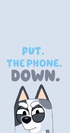 an image of a cat with sunglasses on it's face and the words put the phone down