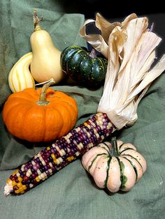 corn on the cob, pumpkins and gourds are sitting on a green cloth