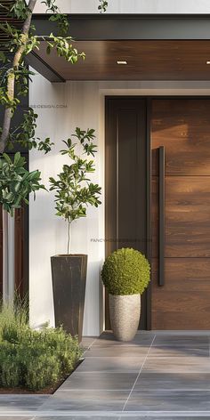 two potted plants in front of a wooden door with glass panels on the side