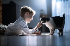 a young boy playing with a cat on the floor