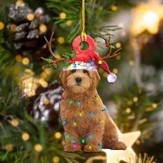 a dog ornament hanging from a christmas tree with lights on it's head